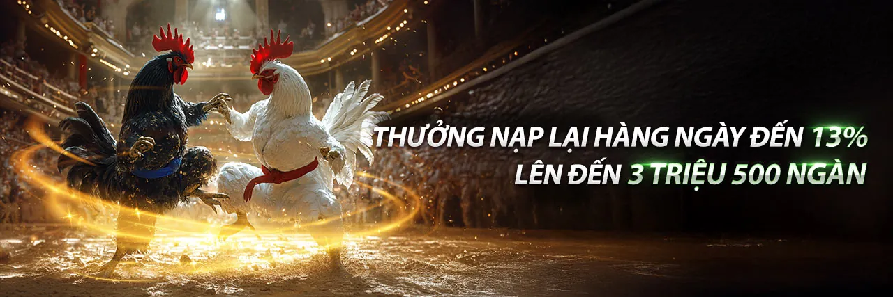 Đá Gà Trực Tuyến Sonbet